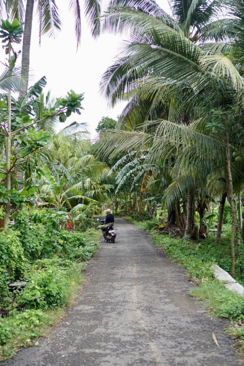 Jeju Cottages Kuta (Lombok) Exterior foto